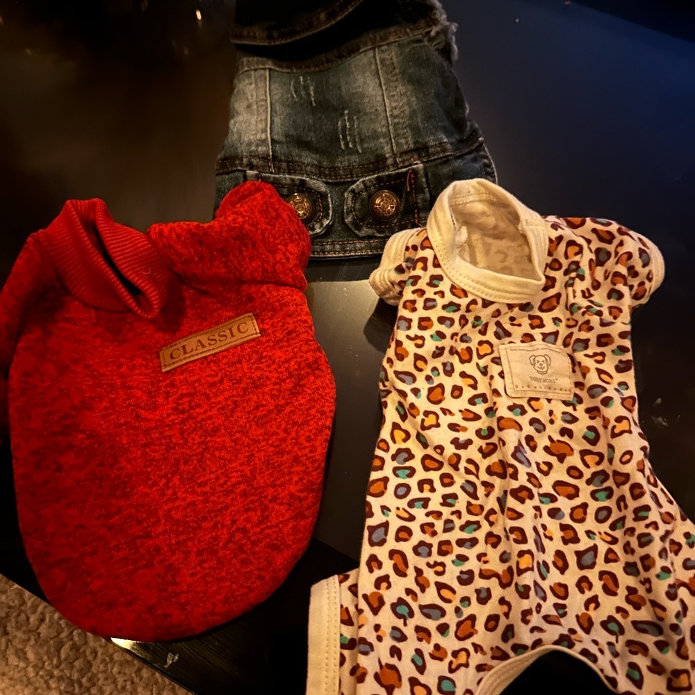 Classic Red and Leopard Print dog  Accessories Set like new worn once